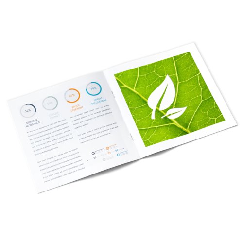 Broszury na naturalnym papierze ekologicznym, kwadrat, format CD 2