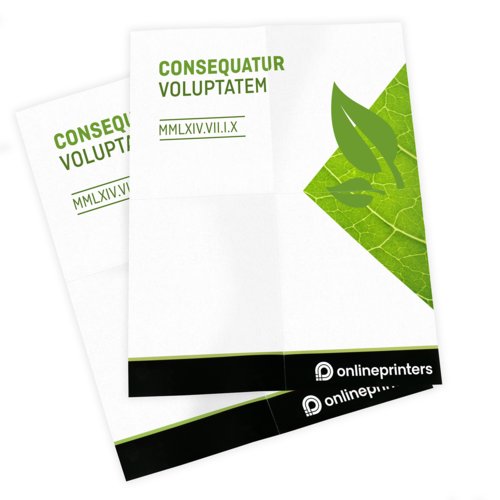 Plakaty na naturalnym papierze ekologicznym, A2, druk jednostronny 4